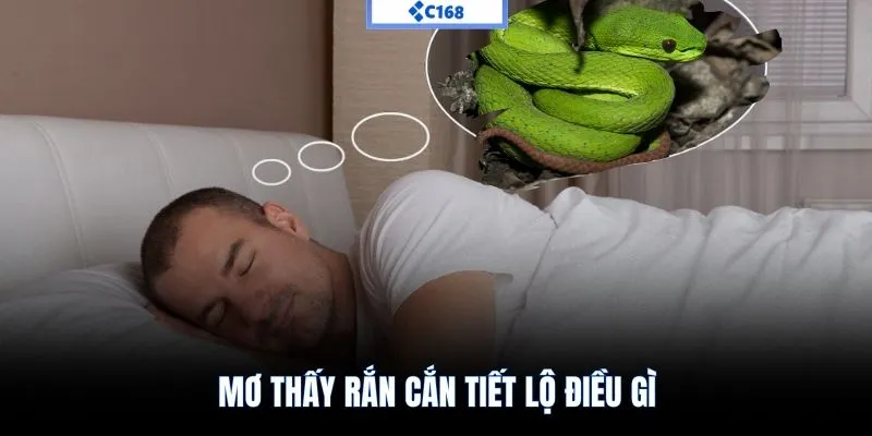 Mơ thấy rắn cắn tiết lộ điều gì